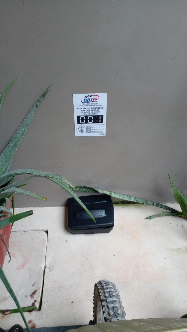 Cebos Imagen 2